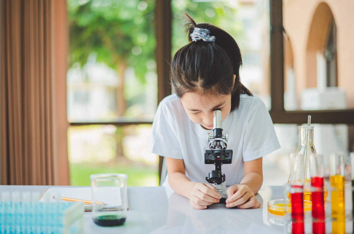 Science Experiments for Preschoolers: Simple Ways to Observe, Predict, and Test