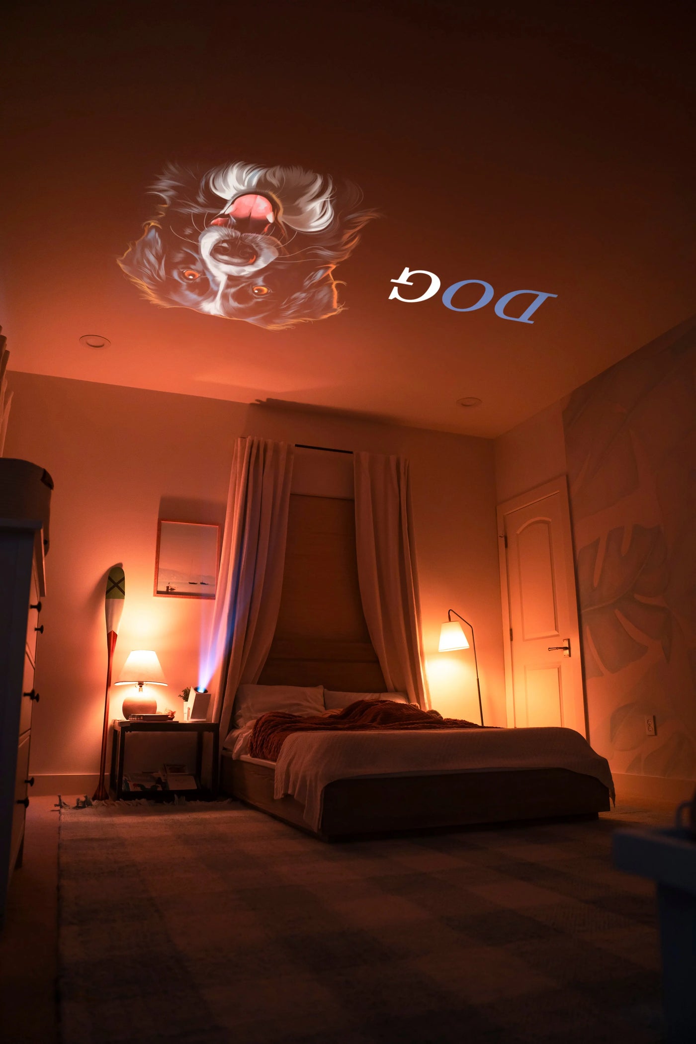 Ozmotic Learning Projector
