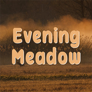 Preview image for Relaxation: Evening Meadow