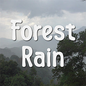 Preview image for Relaxation: Forest Rain