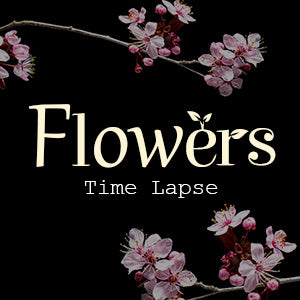 Preview image for Relaxation: Flowers