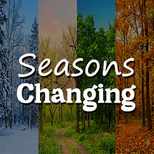 Preview image for Seasons Changing
